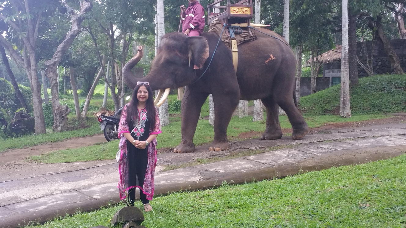 20160209 152515 (2016 10 02 16 07 39 UTC)